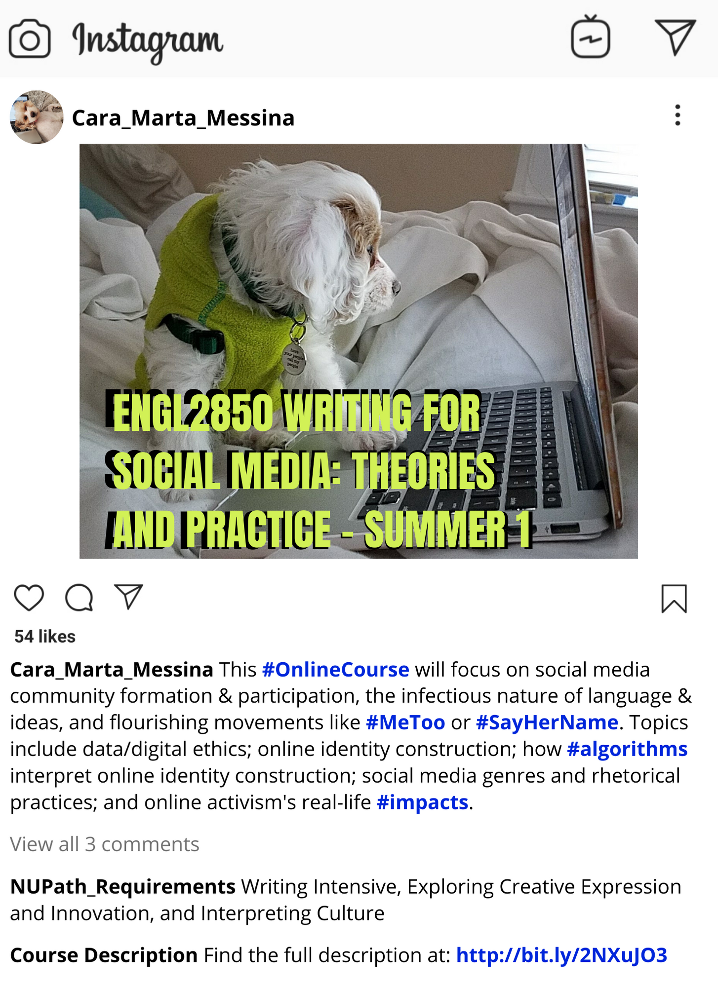 This image is a course poster for Writing for Social Media, which looks like an instagram post. The photo is of Cara's dog, Efi, placing a paw on the computer. The description taks about the main themes of the course, including ethics around big data/algorithms, online community, identity formation, and activism.